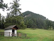 P8290042.JPG