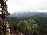 P8290045.JPG