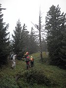 P8290049.JPG
