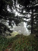P8290050.JPG