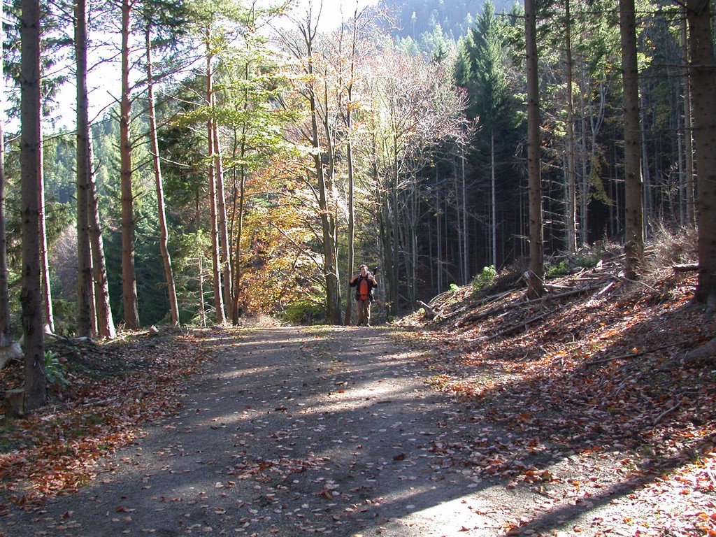 DSCN3805.JPG