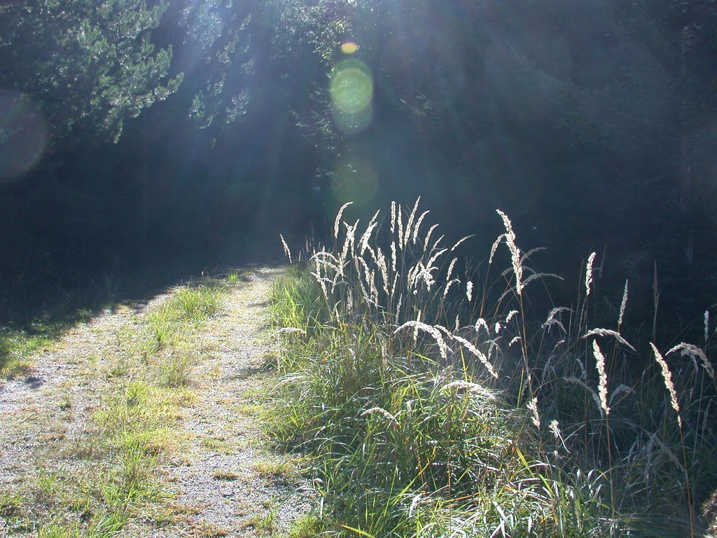 DSCN3807.JPG