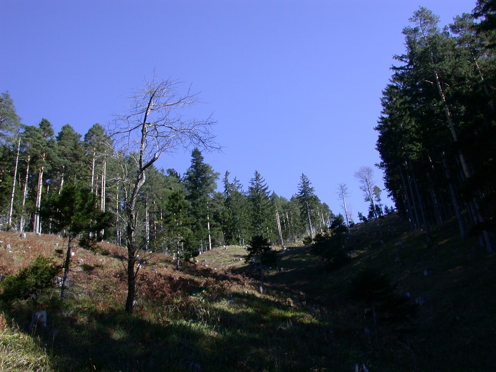 DSCN3817.JPG
