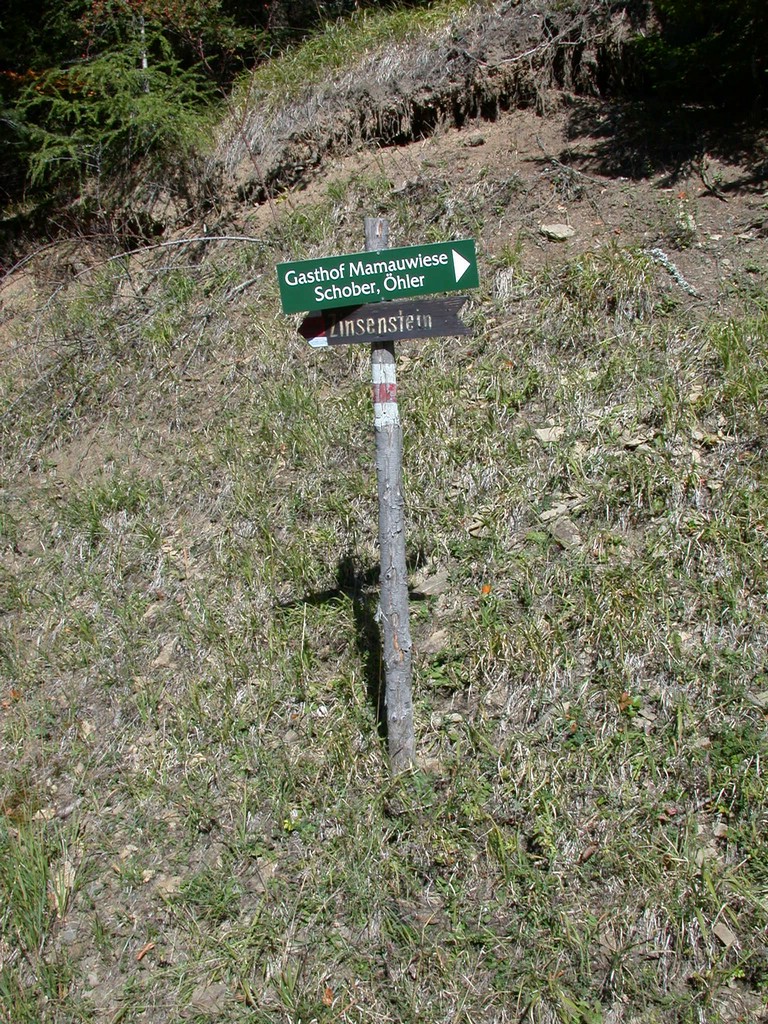 DSCN3819.JPG
