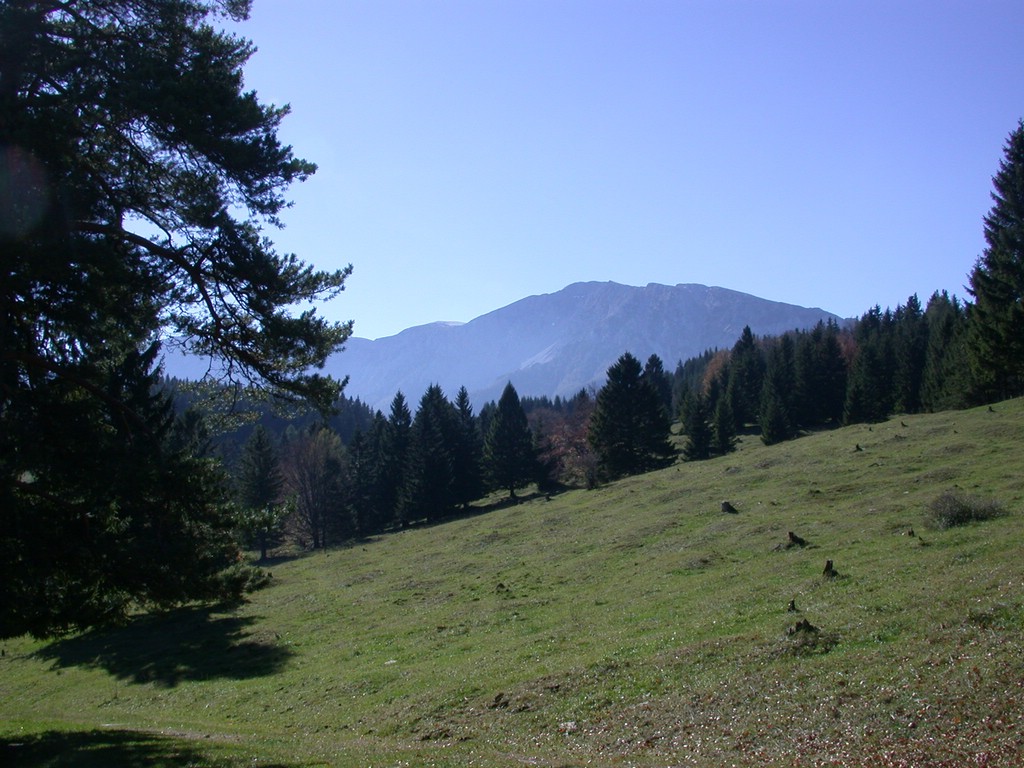DSCN3822.JPG
