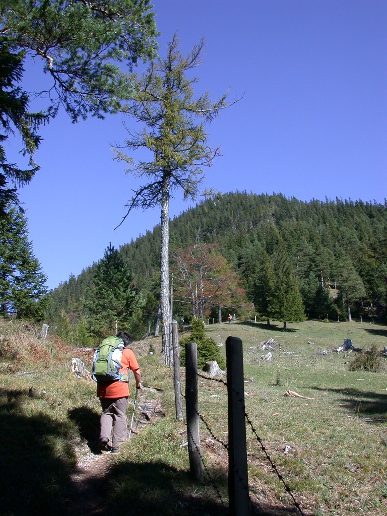 DSCN3827.JPG
