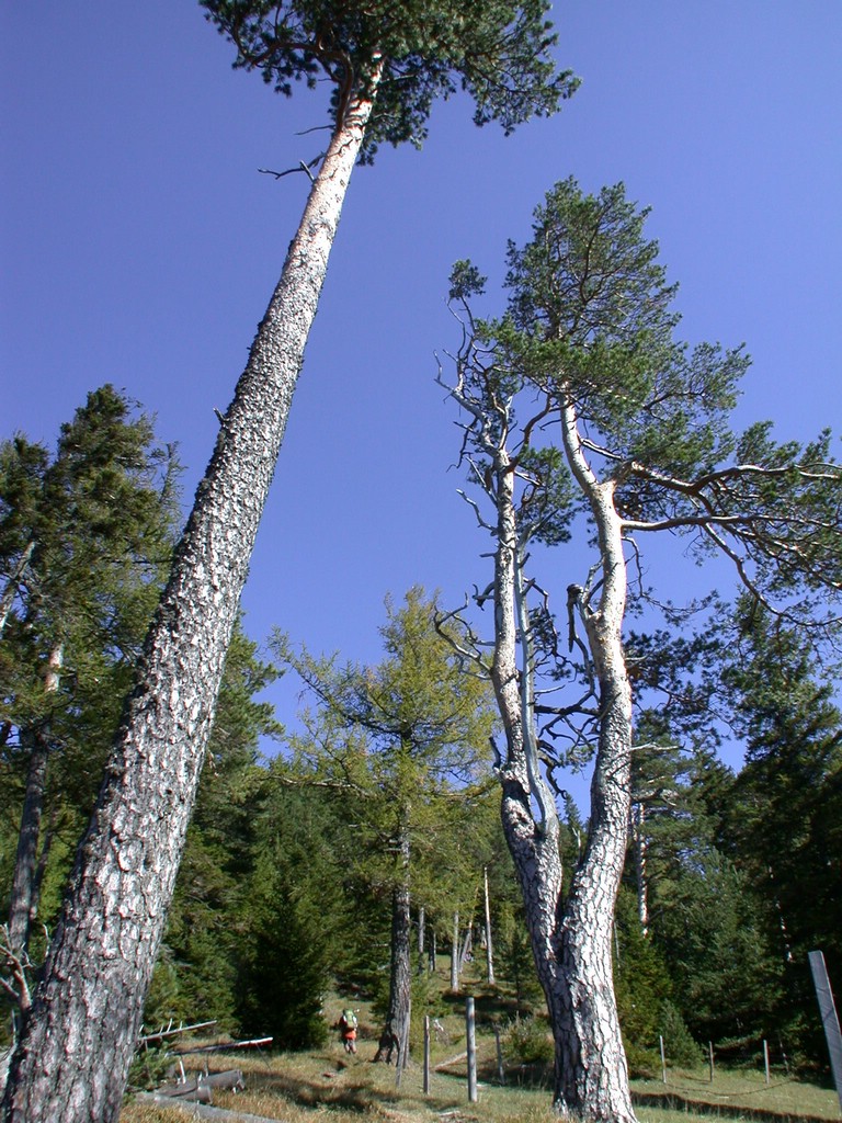 DSCN3833.JPG