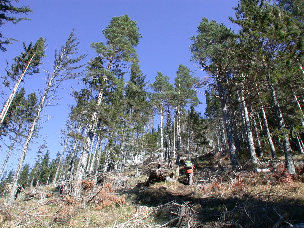 DSCN3839.JPG