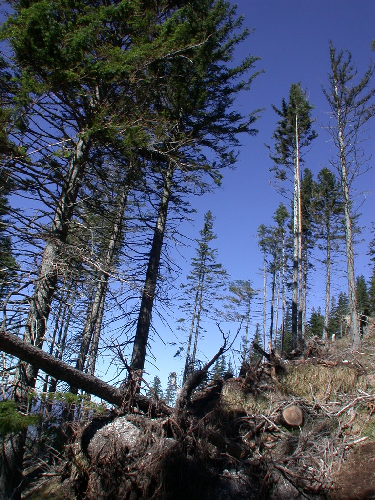 DSCN3841.JPG