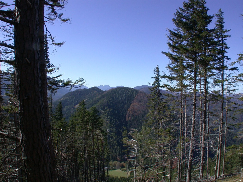 DSCN3845.JPG