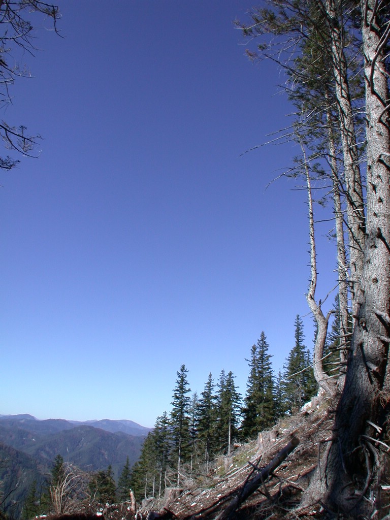 DSCN3849.JPG