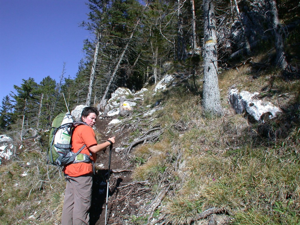 DSCN3854.JPG