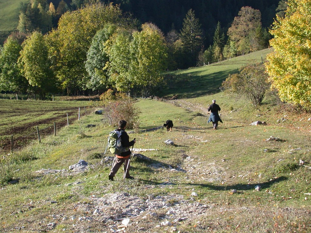 DSCN3871.JPG