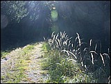 DSCN3807.JPG