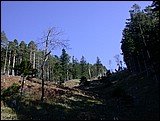 DSCN3817.JPG