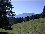 DSCN3822.JPG