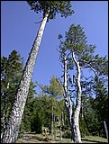 DSCN3833.JPG