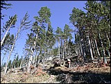 DSCN3839.JPG
