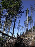 DSCN3841.JPG