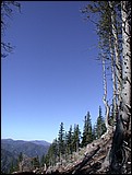 DSCN3849.JPG