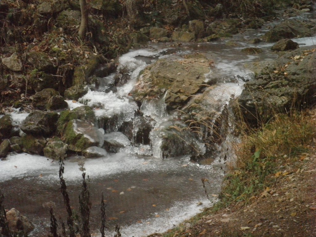 PB190010.JPG