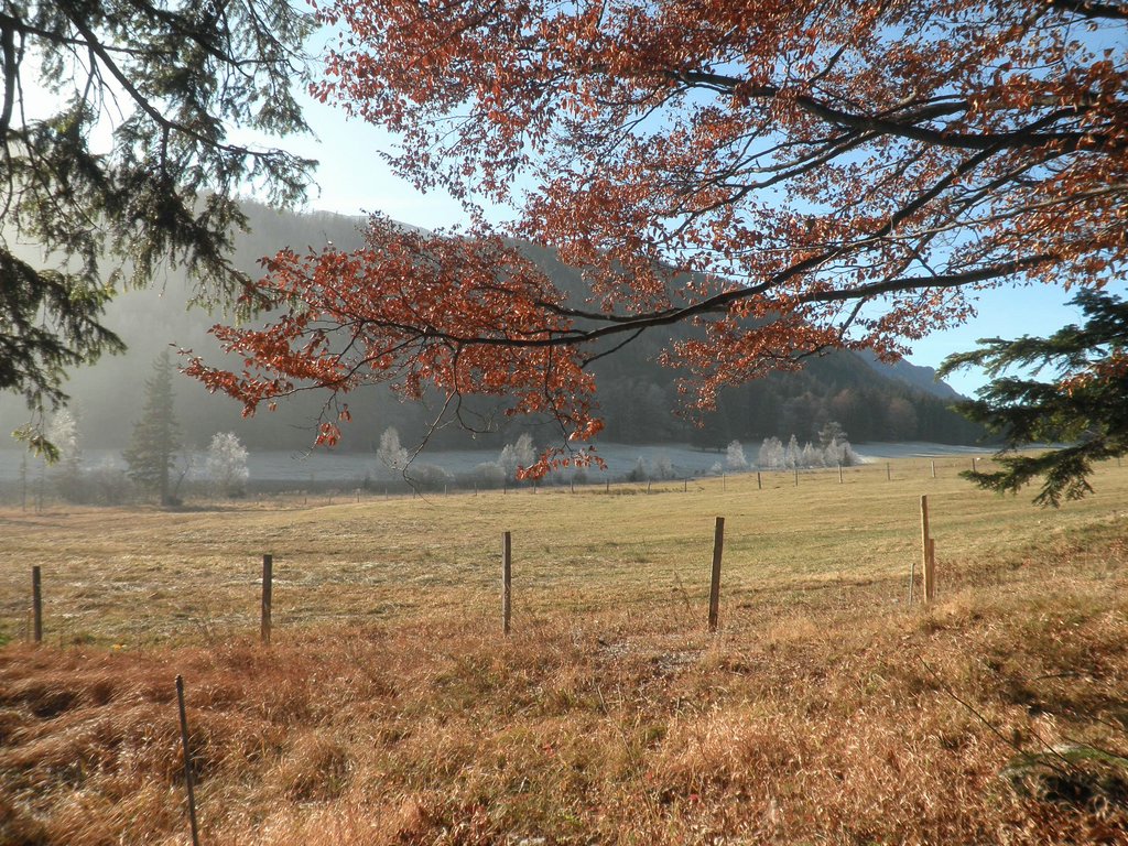 PB190019.JPG