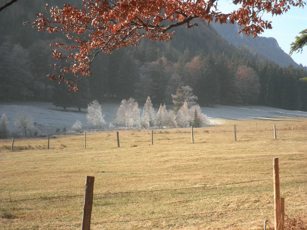 PB190022.JPG