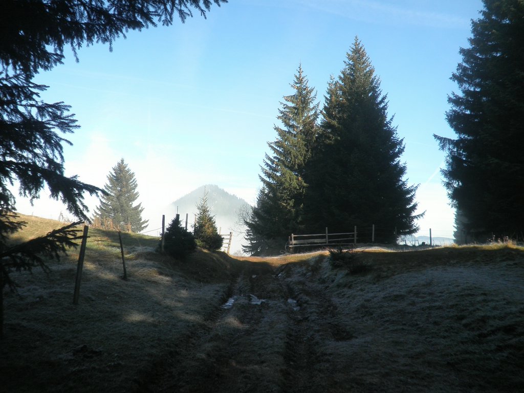 PB190029.JPG