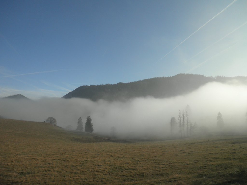 PB190035.JPG