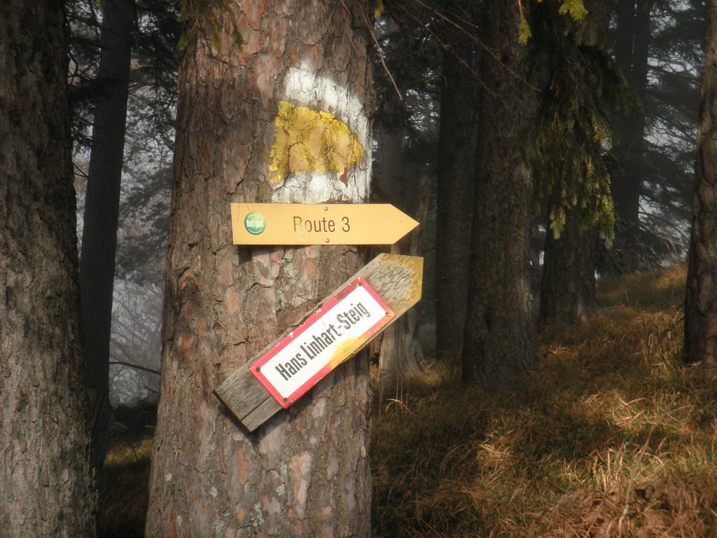 PB190038.JPG