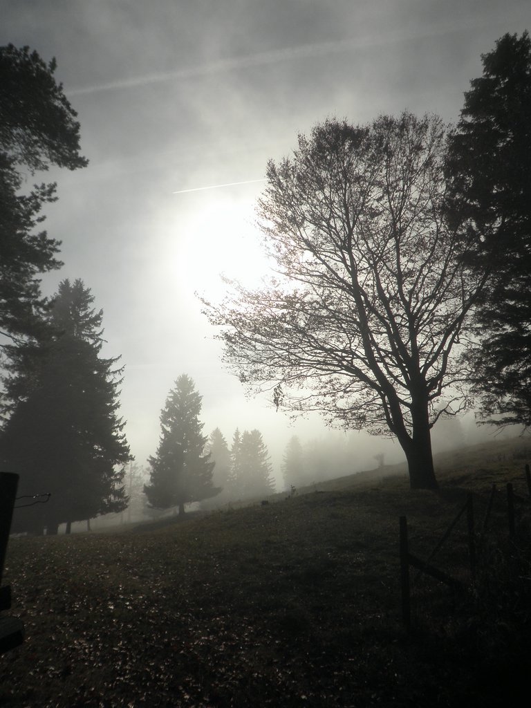 PB190040.JPG