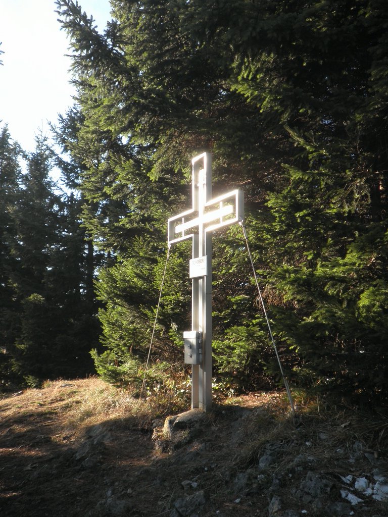 PB190054.JPG