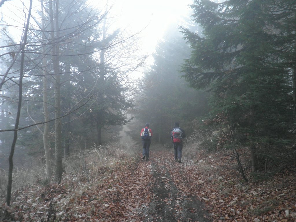 PB190071.JPG
