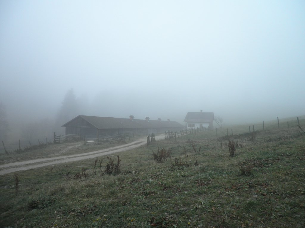 PB190075.JPG