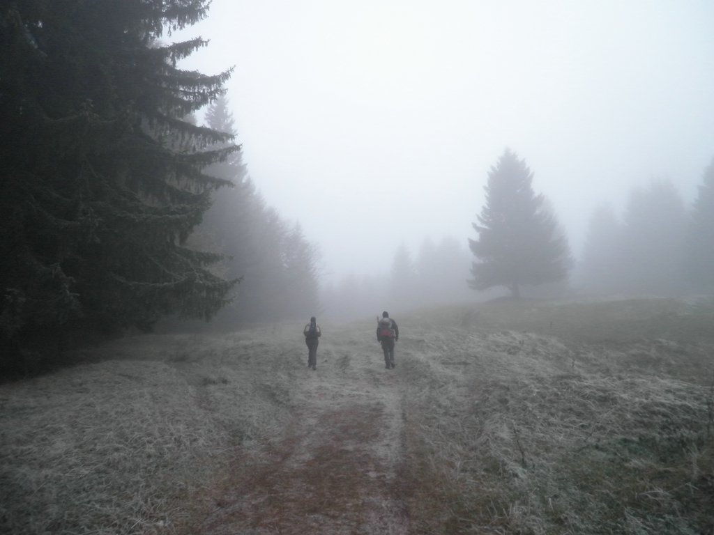 PB190076.JPG