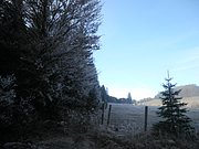 PB190012.JPG