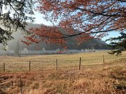 PB190019.JPG