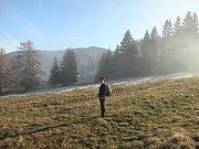 PB190031.JPG
