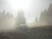PB190032.JPG