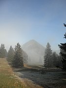 PB190033.JPG