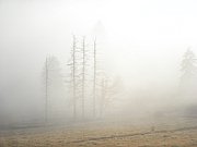 PB190036.JPG