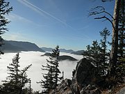 PB190047.JPG
