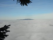 PB190057.JPG