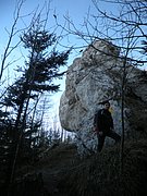 PB190062.JPG
