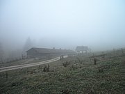 PB190075.JPG