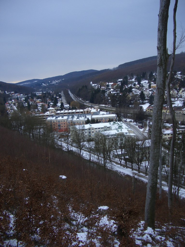 CIMG3948.JPG