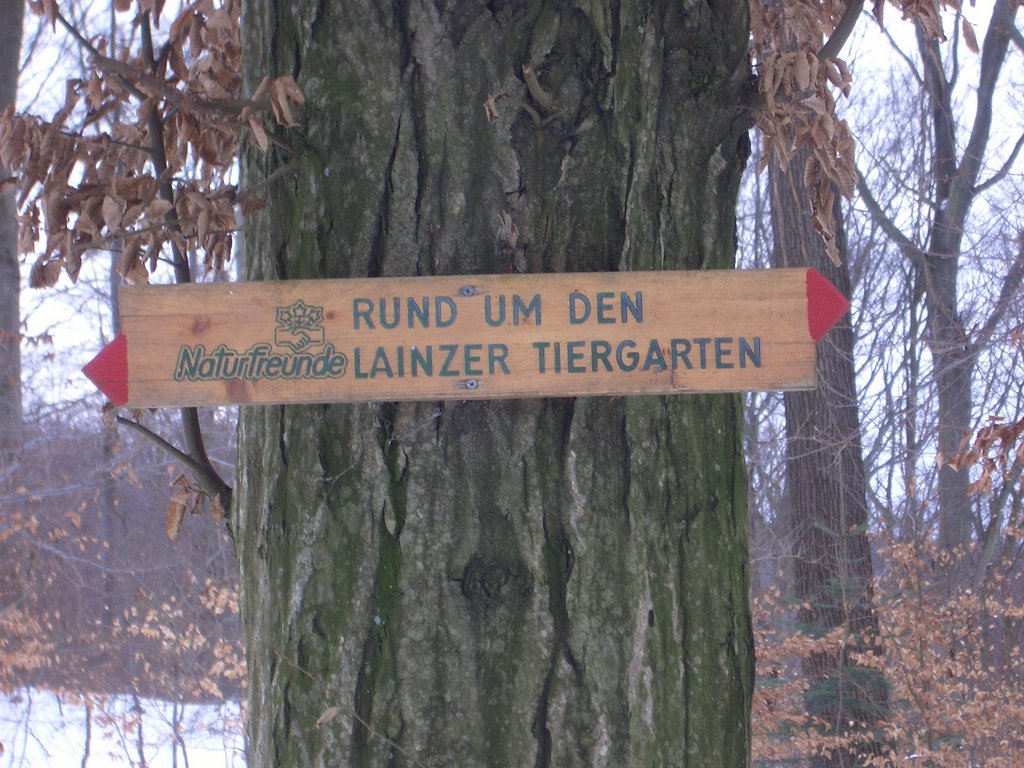 CIMG3954.JPG