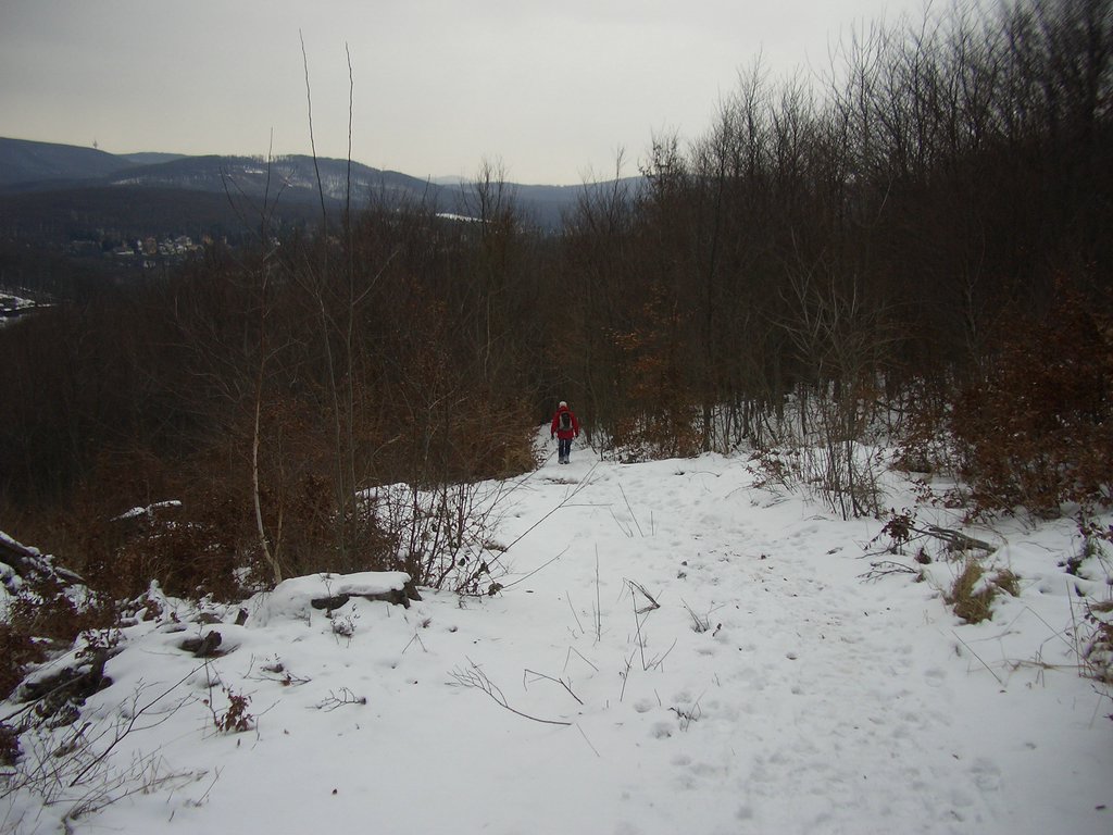 CIMG3957.JPG