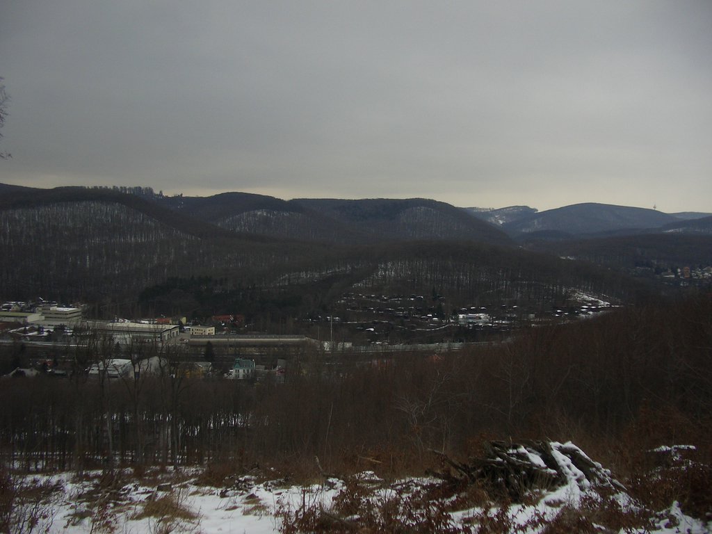 CIMG3958.JPG