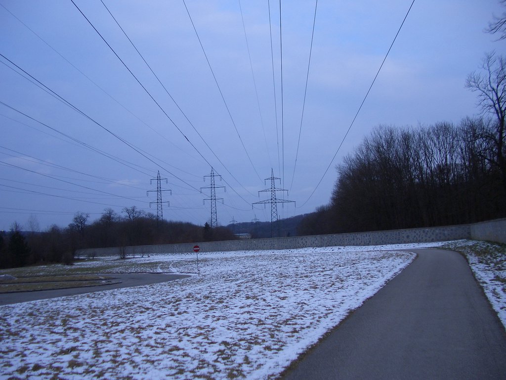 CIMG3960.JPG